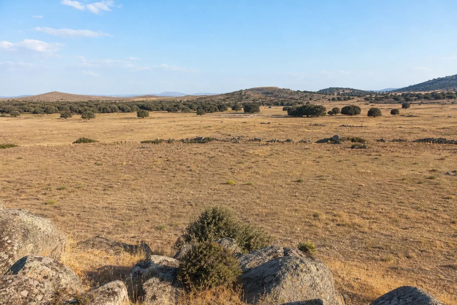 Finca ganadera en Ávila — foto 1